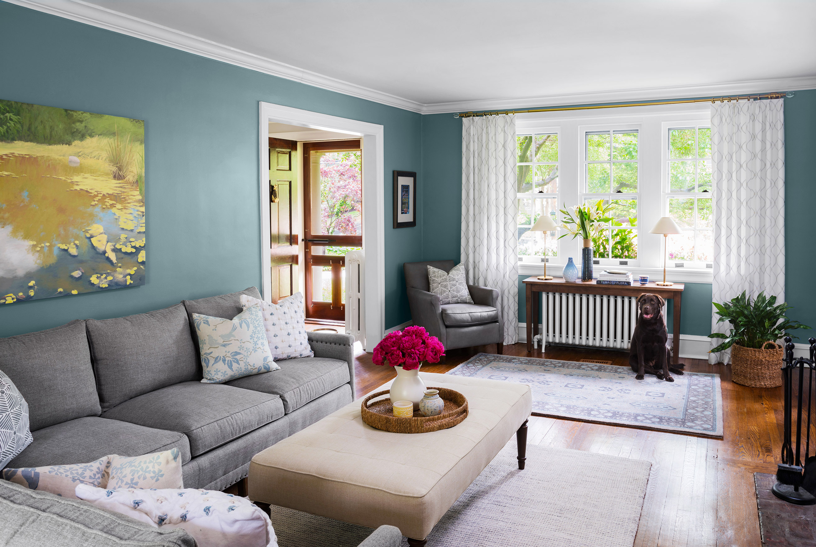 Cozy living room with teal walls, gray sectional, cream ottoman, bright windows, floral accents, and a chocolate lab sitting near a console table and plants.